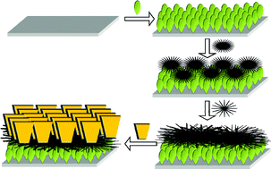 Graphical abstract: Synthesis and characterization of shape-controlled mesoporous Co3O4 hierarchical nanostructures