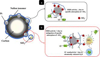 Graphical abstract: Novel catalyst layer synthesized by an in situ sol–gel process with tetraethoxysilane in a Nafion ionomer solution with Pt/C for PEFCs: the effect of self-assembled Nafion–SiO2 on Pt ORR activity and an increased water content in the polymer membranes