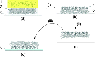 Graphical abstract: Transfer of asymmetric free-standing TiO2 nanowire films for high efficiency flexible dye-sensitized solar cells