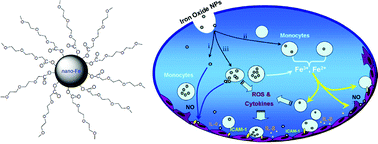 Graphical abstract: Iron-containing nanomaterials: synthesis, properties, and environmental applications