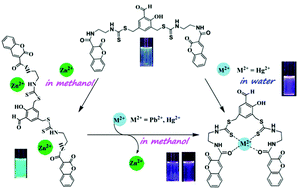 Graphical abstract: A single molecule multi analyte chemosensor differentiates among Zn2+, Pb2+ and Hg2+: modulation of selectivity by tuning of solvents