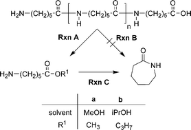 Graphical abstract: Nylon 6 depolymerization in supercritical alcohols studied by the QM/MC/FEP method