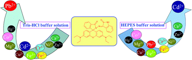 Graphical abstract: Modulating the selectivity by switching sensing media: a bifunctional chemosensor selectivity for Cd2+ and Pb2+ in different aqueous solutions