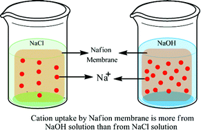 Graphical abstract: Influence of external electrolyte on ion exchange in Nafion membranes