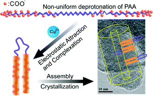 Graphical abstract: CuOx nanotubes via an unusual complexation induced block copolymer-like self-assembly of poly(acrylic acid)
