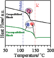 Graphical abstract: Evidence for in situ graft copolymer formation and compatibilization of PC and PMMA during reactive extrusion processing in the presence of the novel organometallic transesterification catalyst tin(ii) 2-ethylhexanoate