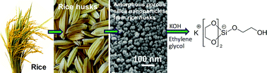 Graphical abstract: Synthesis of silicon complexes from rice husk derived silica nanoparticles