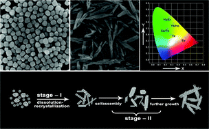 Graphical abstract: Hierarchical bundles structure of β-NaLuF4: facile synthesis, shape evolution, and luminescent properties