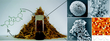 Graphical abstract: Self-assembly of a renewable nano-sized triterpenoid 18β-glycyrrhetinic acid