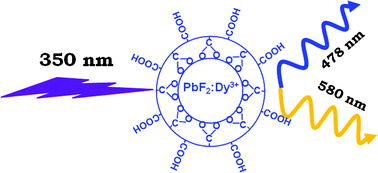 Graphical abstract: Enhanced quantum efficiency for Dy3+ Emissions in water dispersible PbF2 nanocrystals