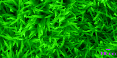 Graphical abstract: Facile synthesis of CuO nanorods with abundant adsorbed oxygen concomitant with high surface oxidation states for CO oxidation