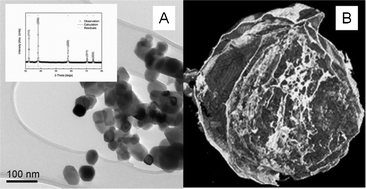 Graphical abstract: X-Ray micro-tomography of freeze dried nickel alginate beads and transformation into NiO nanopowders