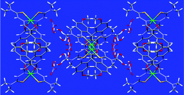 Graphical abstract: Evaluation on the role of terminal N-substitution in 6-methoxy-2-oxo-1,2-dihydroquinoline-3-carbaldehyde thiosemicarbazones on the biological properties of new water-soluble nickel(ii) complexes