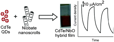 Graphical abstract: CdTe quantum dot sensitized hexaniobate nanoscrolls and their photoelectrochemical properties