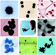 Graphical abstract: Preparation of gold nanoparticles using reactive species produced in room-temperature ionic liquids by accelerated electron beam irradiation