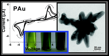 Graphical abstract: Polythiophene-g-poly(dimethylaminoethyl methacrylate) stabilized Au nanoparticles and its morphology tuning by RNA with variation of electronic properties