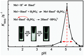 Graphical abstract: Mechanism of the pH-induced aggregation reaction between melamine and phosphate