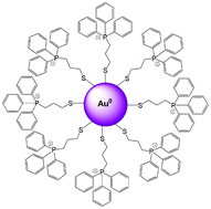 Graphical abstract: Water-soluble gold nanoparticles stabilized with cationic phosphonium thiolate ligands