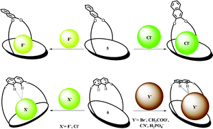 Graphical abstract: Naphthalene strapped fluorescent calix[4]pyrrole isomers: halide ion selectivity based on strap topography