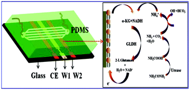 Graphical abstract: Mediator-free microfluidics biosensor based on titania–zirconia nanocomposite for urea detection