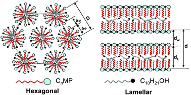 Graphical abstract: Lyotropic liquid crystalline phases formed in ternary mixtures of N-alkyl-N-methylpyrrolidinium bromide/1-decanol/water