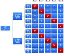 Graphical abstract: Quantitative Nanostructure–Activity Relationship modelling of nanoparticles