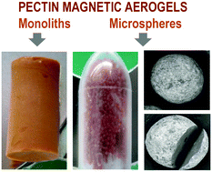 Graphical abstract: Design of biocompatible magnetic pectin aerogel monoliths and microspheres