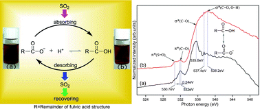 Graphical abstract: Absorption of SO2 from flue gas by aqueous fulvic acid solution