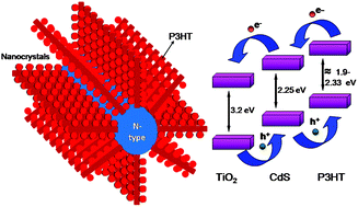 Graphical abstract: Step-by-step build-up of ordered p–n heterojunctions at nanoscale for efficient light harvesting