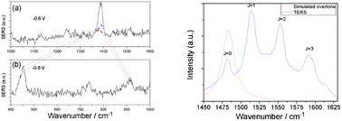 Graphical abstract: Nonlinear resonances in electrochemical SERS of SCN−, rotation-resolved Raman and anti-Stokes Raman of SCN− in HV-TERS