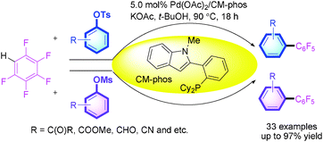 Graphical abstract: Palladium-catalyzed direct arylation of polyfluoroarenes with aryl tosylates and mesylates