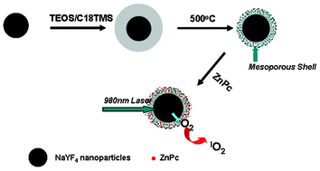 Graphical abstract: Mesoporous silica-coated NaYF4 nanocrystals: facile synthesis, in vitro bioimaging and photodynamic therapy of cancer cells