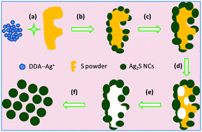 Graphical abstract: Growth mechanism of Ag2S nanocrystals in a nonpolar organic solvent