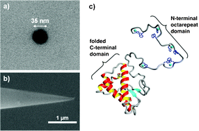 Graphical abstract: Copper sensing with a prion protein modified nanopipette