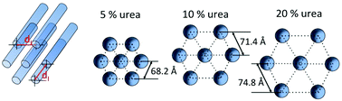 Graphical abstract: Changes in the hierarchical protein polymer structure: urea and temperature effects on wheat gluten films