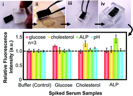 Graphical abstract: Open-type capillary-assembled microchip for rapid, single-step, simultaneous multi-component analysis of serum sample