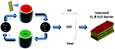 Graphical abstract: Improving oxygen barrier and reducing moisture sensitivity of weak polyelectrolyte multilayer thin films with crosslinking