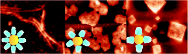 Graphical abstract: Cyclodextrin cavity size induced formation of superstructures with embedded gold nanoclusters