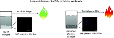 Graphical abstract: Rational immobilization of methanogens in high cell density bioreactors