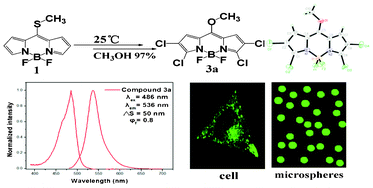 Graphical abstract: meso-Alkoxy BODIPYs with a good balance between larger Stokes shifts and higher fluorescence quantum yields