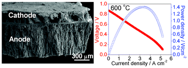 Graphical abstract: High performance low temperature solid oxide fuel cells with novel electrode architecture