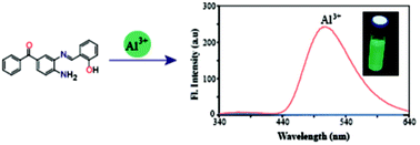 Graphical abstract: Imine containing benzophenone scaffold as an efficient chemical device to detect selectively Al3+