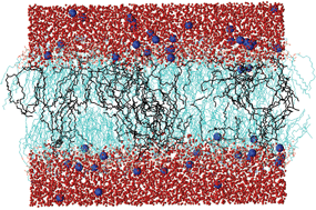 Graphical abstract: Mechanical properties of binary DPPC/DPPS bilayers