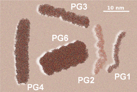 Graphical abstract: Computer simulation of dendronized polymers: organization and characterization at the atomistic level