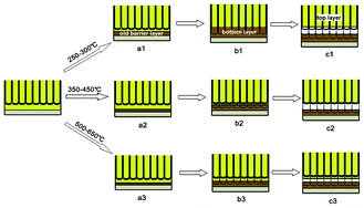 Graphical abstract: A simple and facile approach for synthesis of a free-standing TiO2 nanotube layer and its photovoltaic application