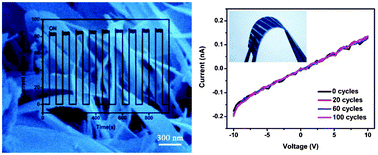 Graphical abstract: Tin sulfide nanoribbons as high performance photoelectrochemical cells, flexible photodetectors and visible-light-driven photocatalysts