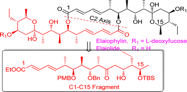 Graphical abstract: Synthesis of the C1–C15 fragment of elaiolide