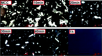 Graphical abstract: Novel compatible system of [C2OHmim][OAc]-cellulases for the in situ hydrolysis of lignocellulosic biomass