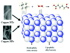 Graphical abstract: Synthesis and catalytic applications of amine interacted Cu2(OH)PO4 nanoplates (copper NPs) and tubes (copper NTs)