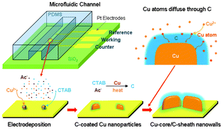 Graphical abstract: In situ synthesis of vertical 3-D copper-core/carbon-sheath nanowalls in microfluidic devices